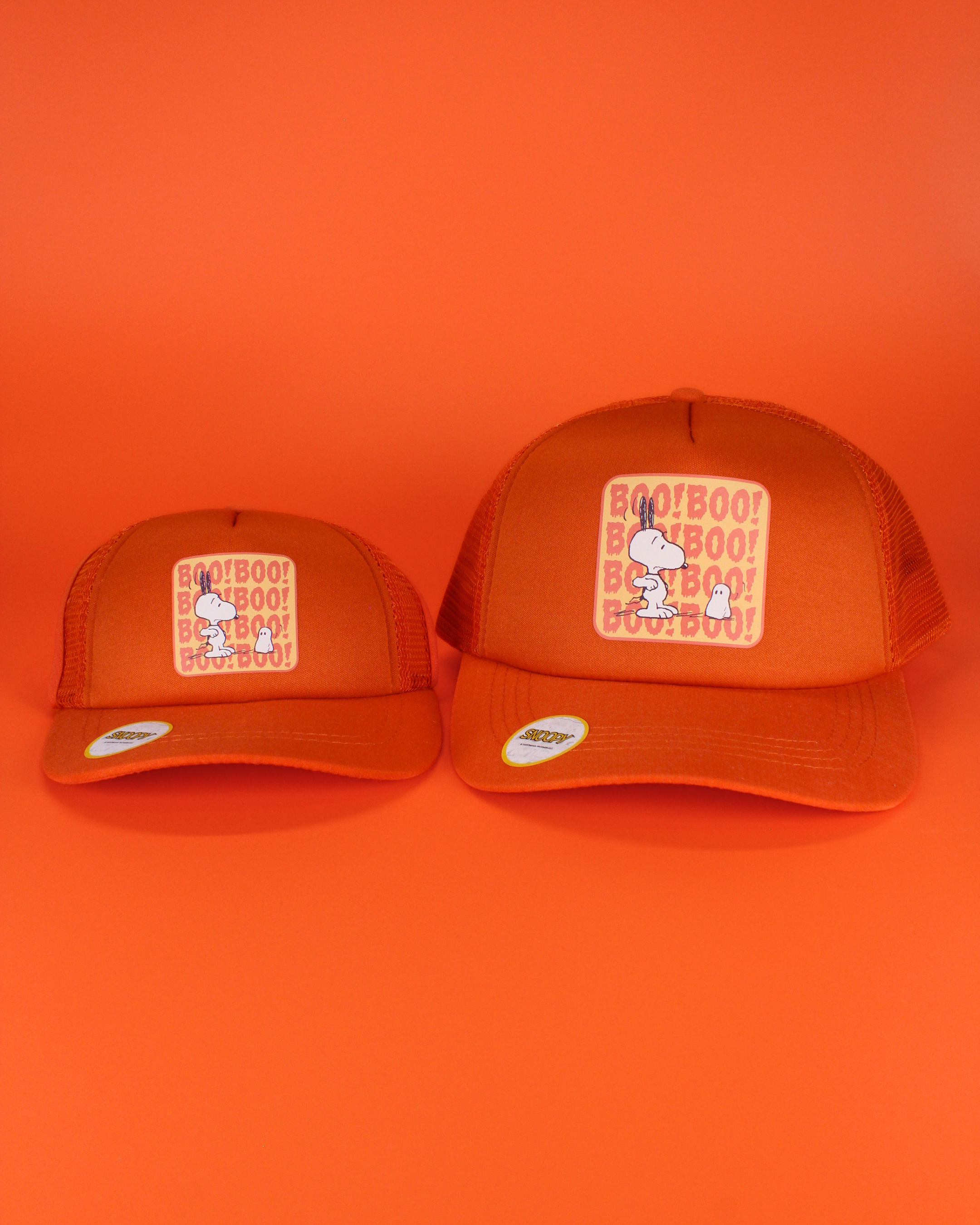 Peanuts halloween collection | matching human hat