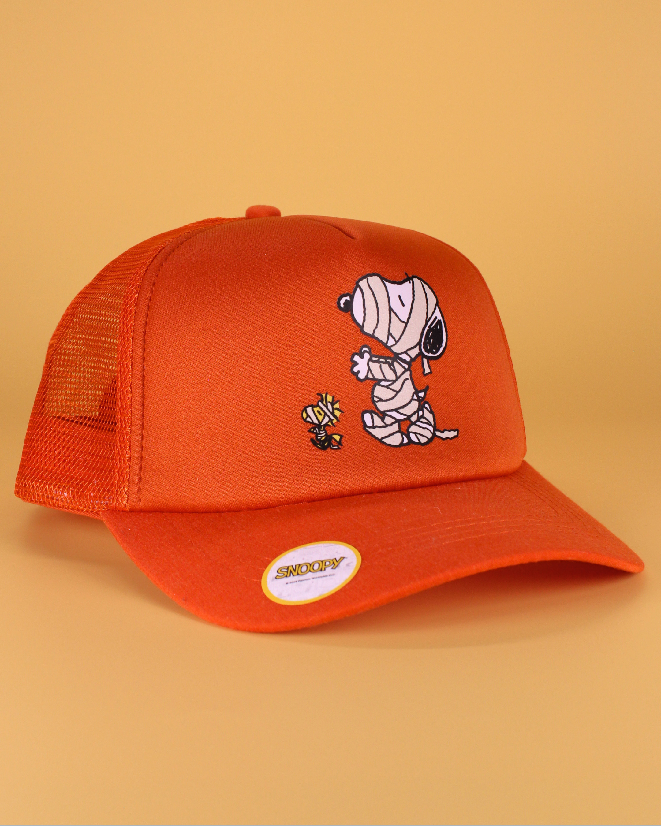 Peanuts halloween collection | matching human hat