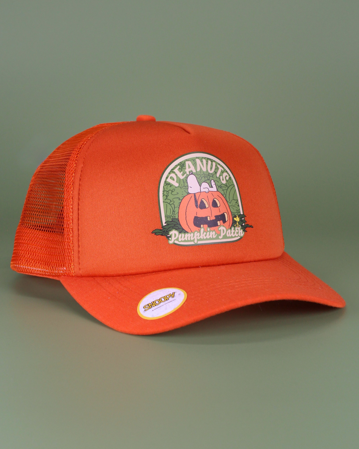 Peanuts halloween collection | matching human hat