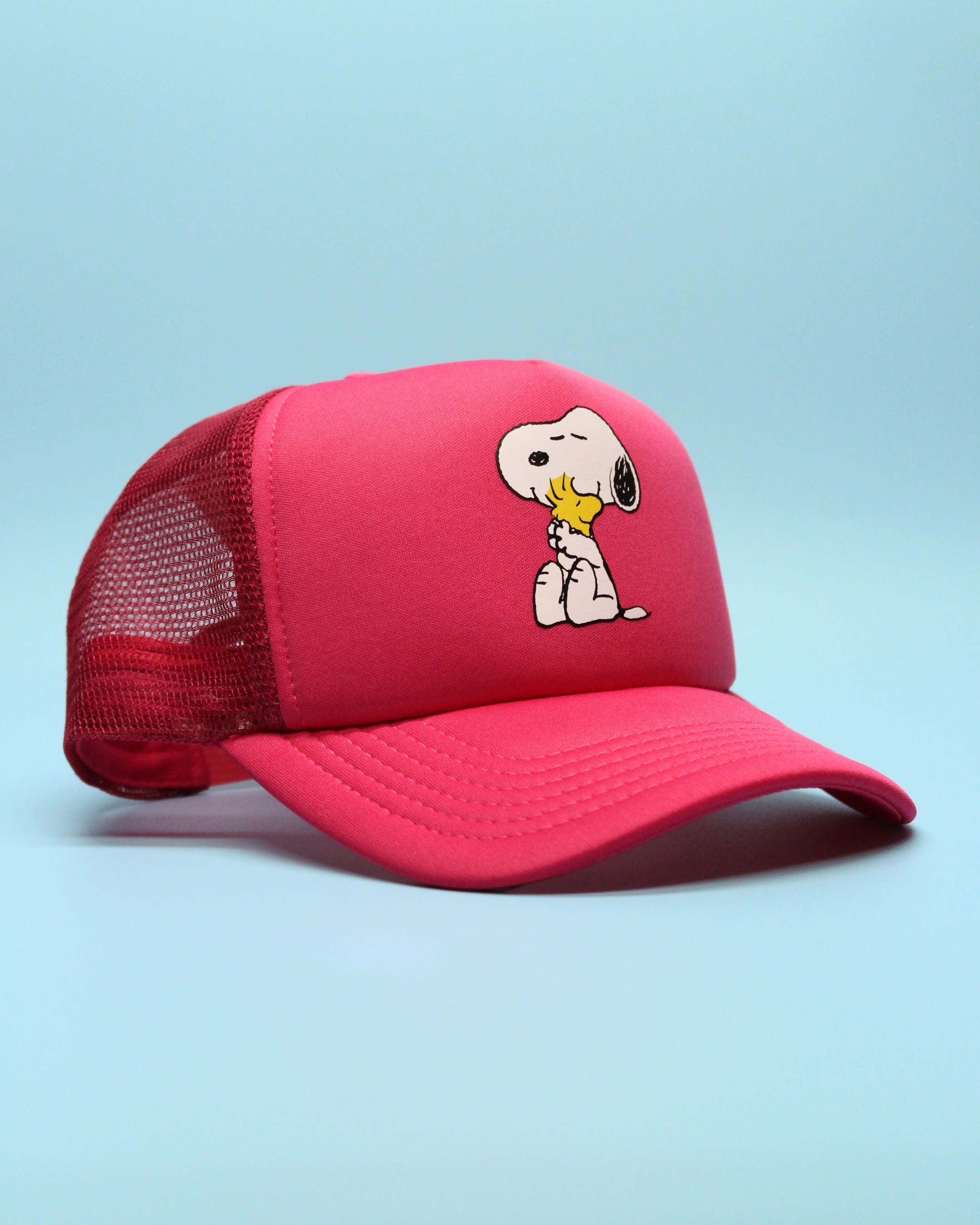 snoopy & woodstock hug | matching human hat