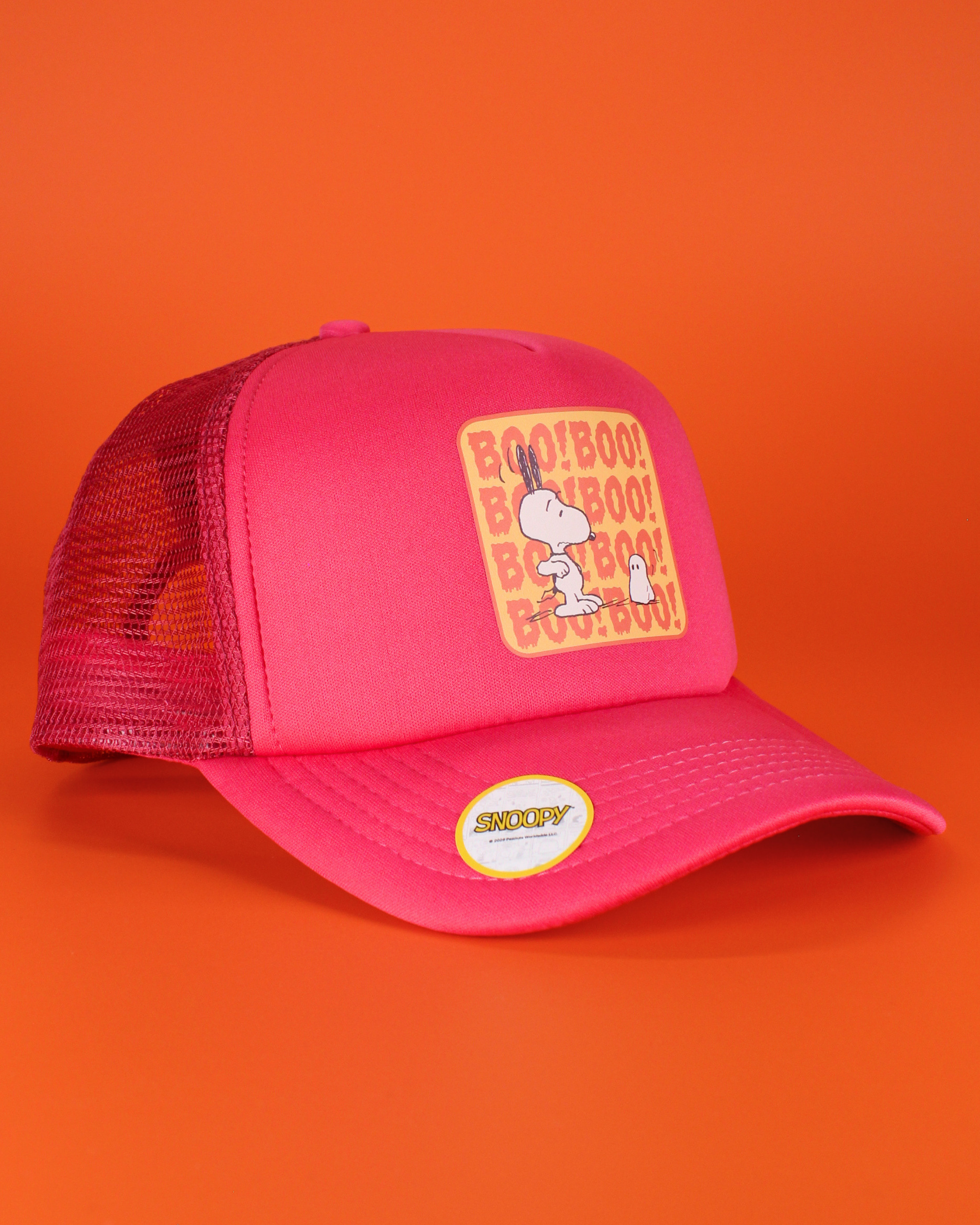 Peanuts halloween collection | matching human hat