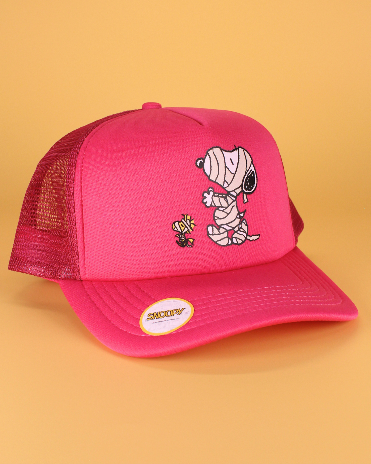 Peanuts halloween collection | matching human hat