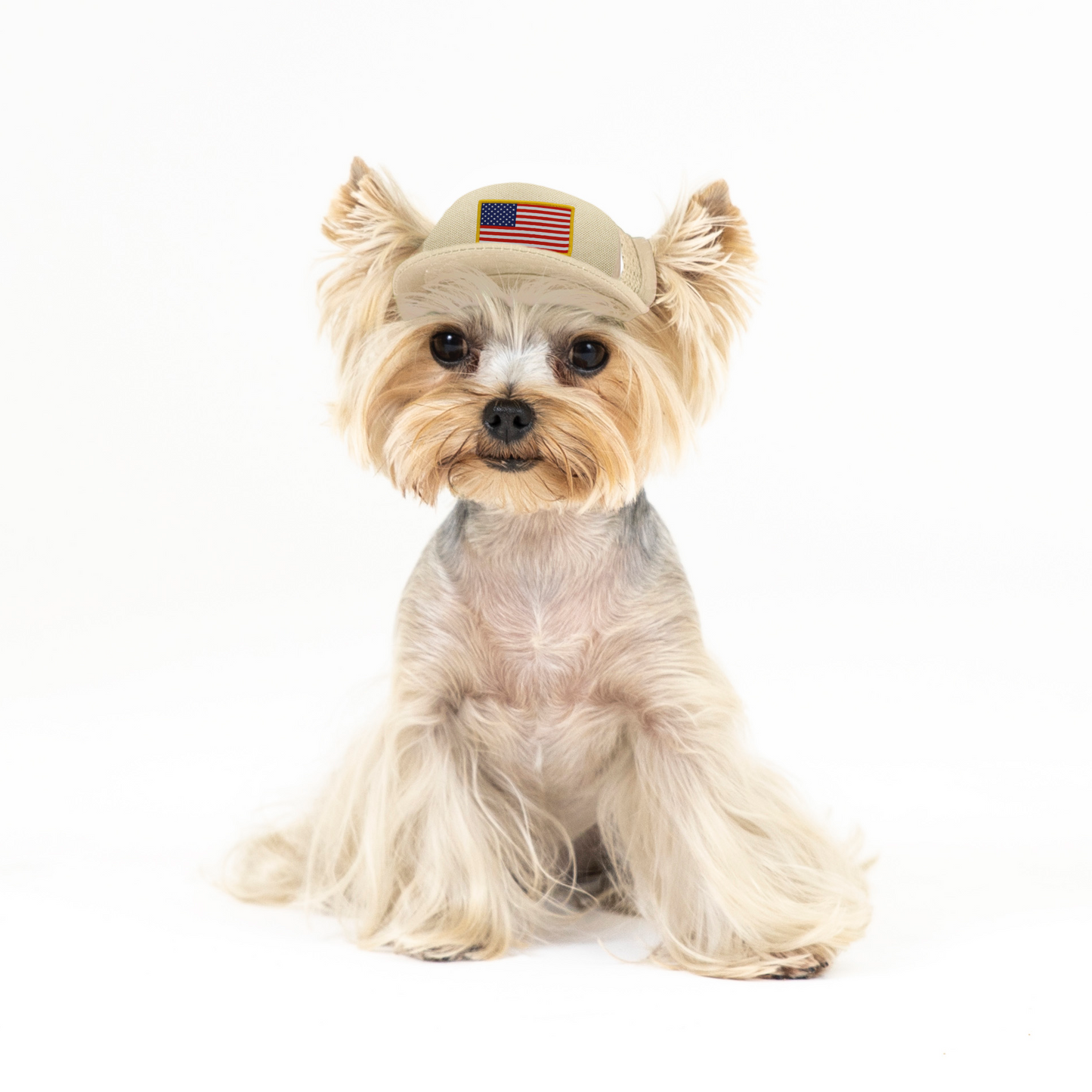 Shelter to Soldier x PupLid | Size Tiny Dog Hat