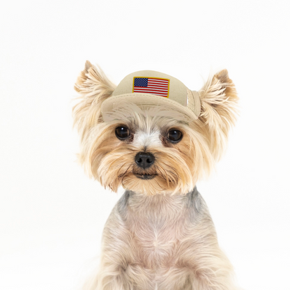 Shelter to Soldier x PupLid | Size Tiny Dog Hat