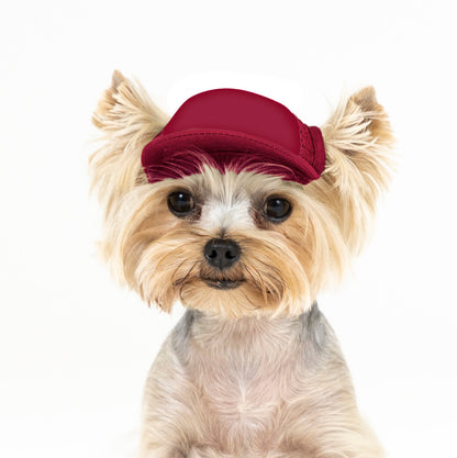PupLid Solid Colors | Size Tiny Dog Hat
