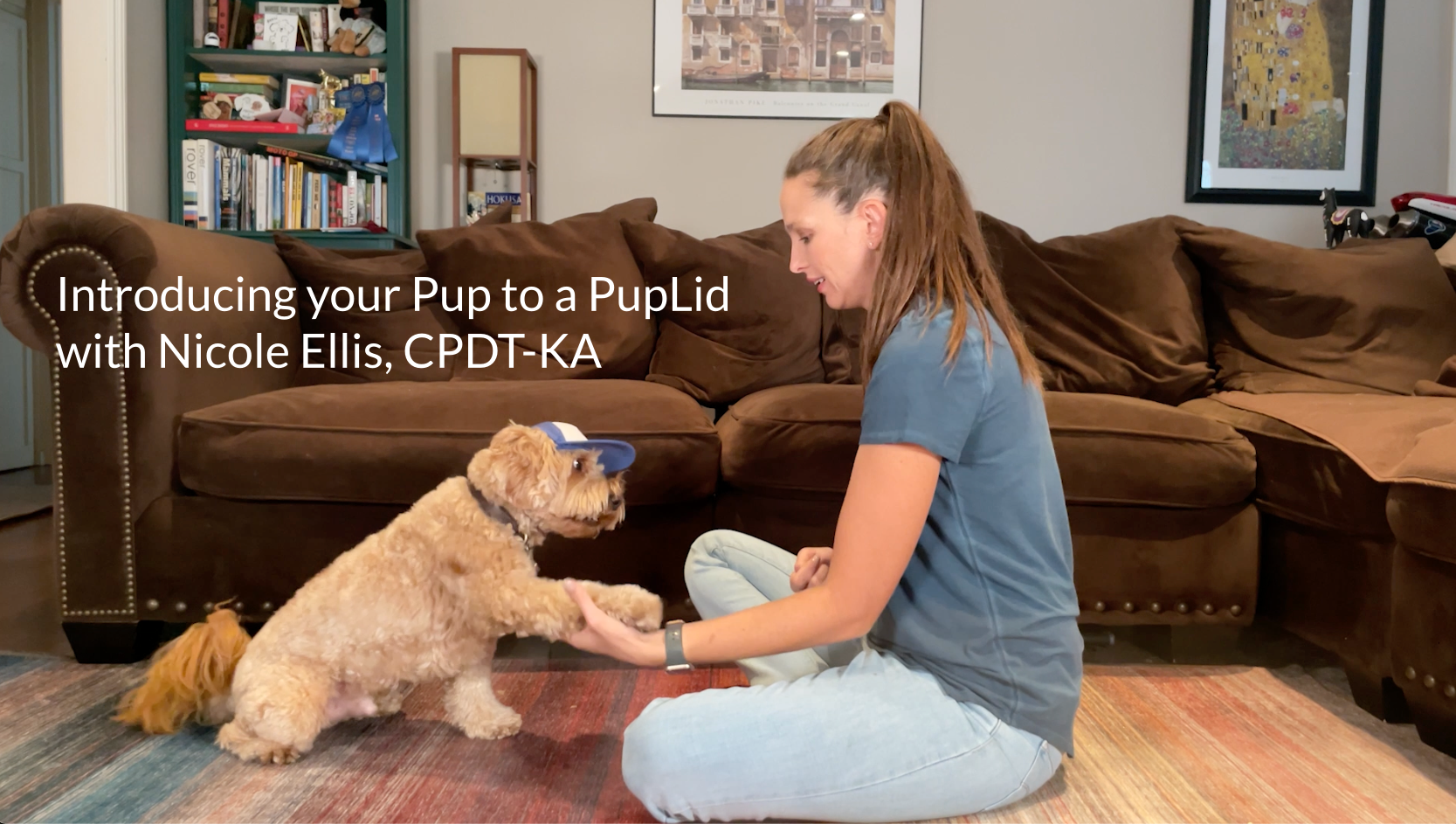 Load video: Short video by Nicole Ellis, CPDT-KA on how to introduce your dog to a PupLid. This is essential in training your dog to wear a hat using positive reinforcement.
