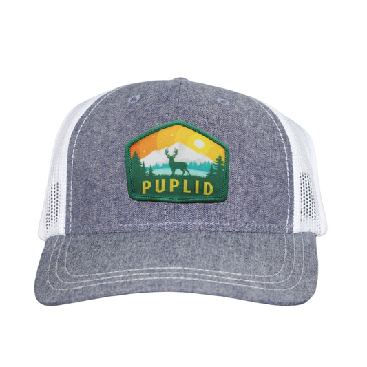 PupLid Winter Patch Baseball Cap | Matching Human Hat