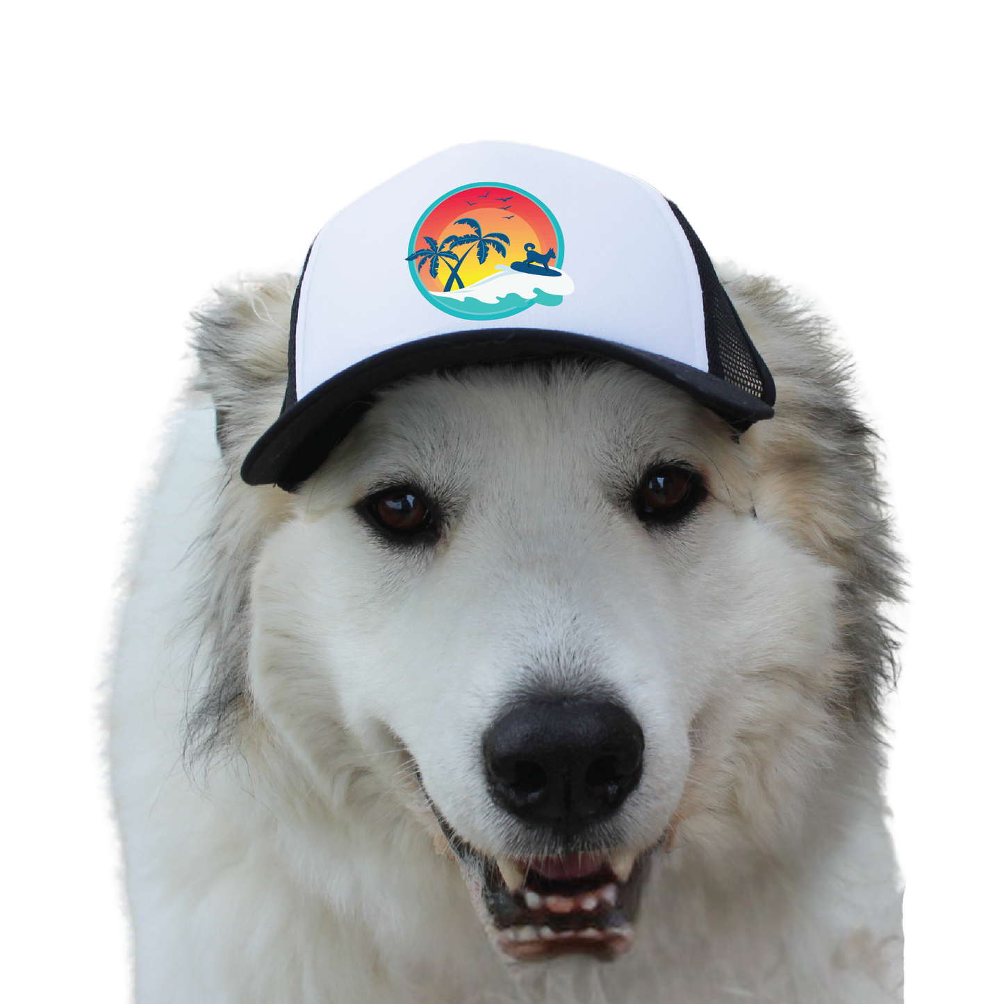 Support Maui Humane Society - Maui Surfer Dog