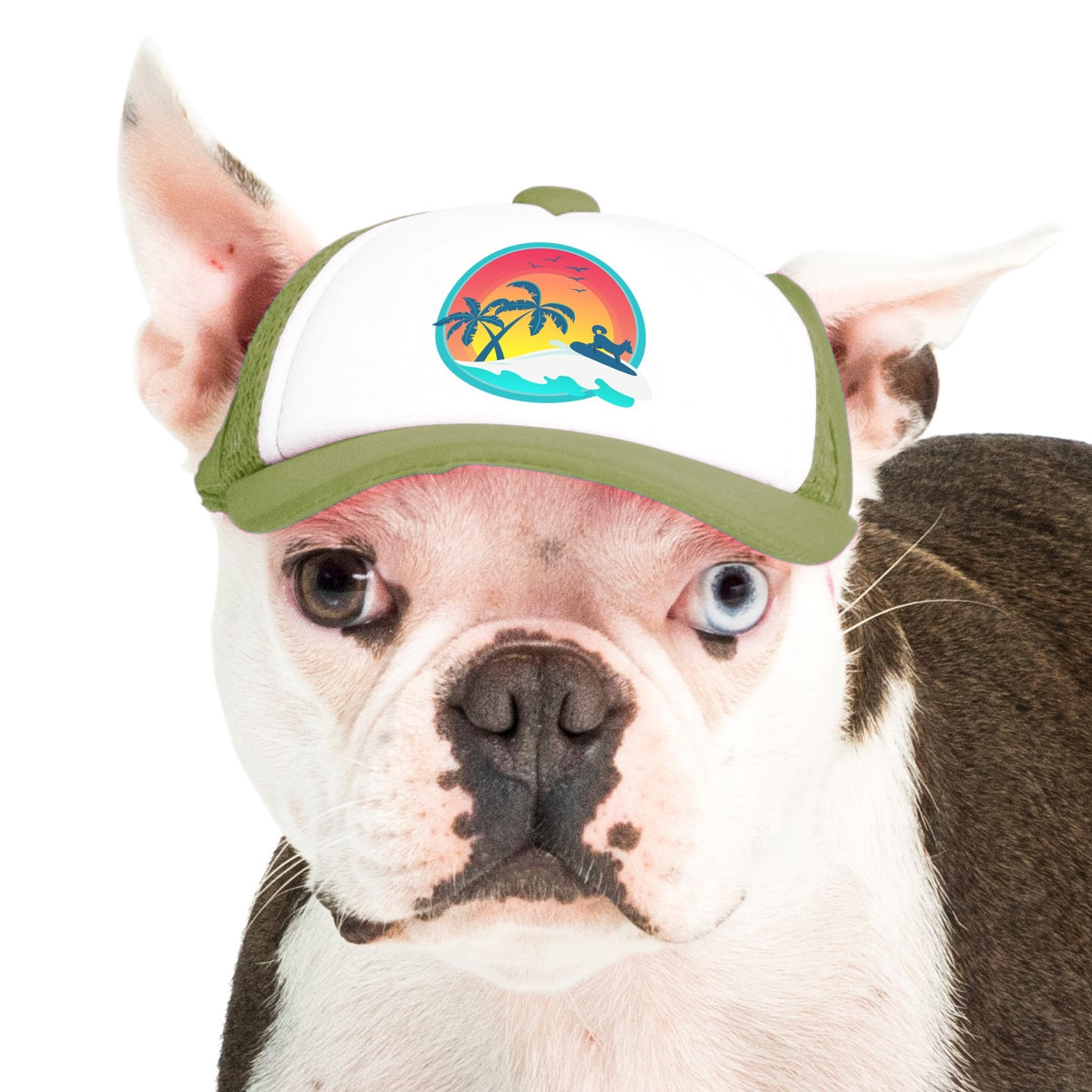 Support Maui Humane Society - Maui Surfer Dog
