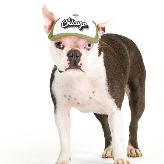 PupLid Cities & States | Size XS Dog Hat