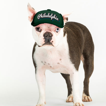 PupLid Cities & States | Solid Colors | Size XS Dog Hat | Fall Collection