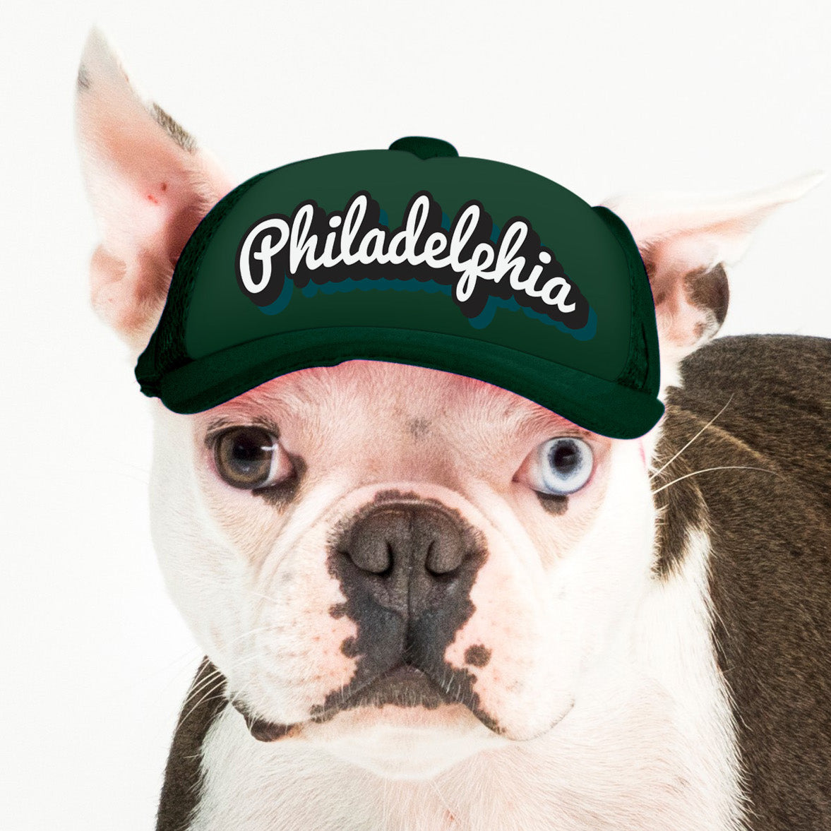 PupLid Cities & States | Solid Colors | Size XS Dog Hat | Fall Collection