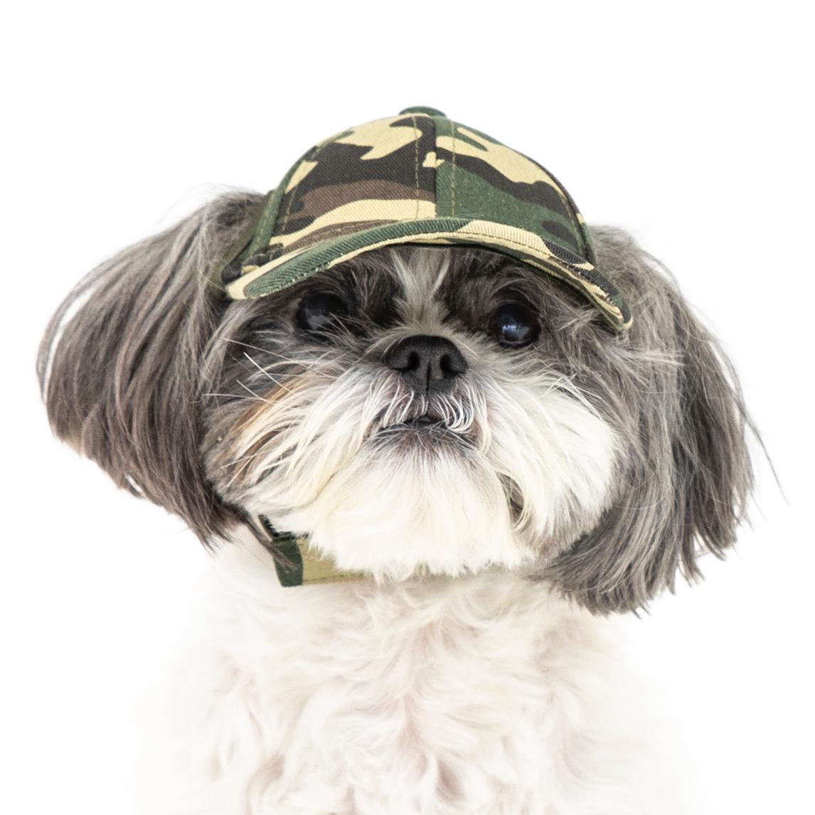 Camo dog fashion hat