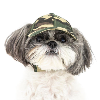 PupLid XS baseball dog cap modeled by a Shih Tzu Bichon mix