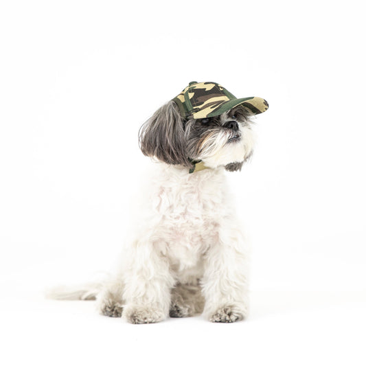 Shelter to Solider x PupLid | Size XS Dog Hat