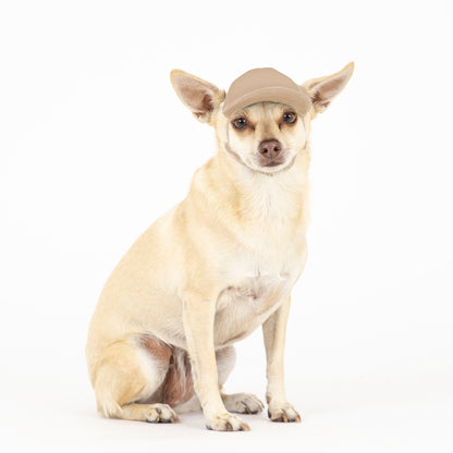 PupLid Solid Colors | Size XXS Dog Hat