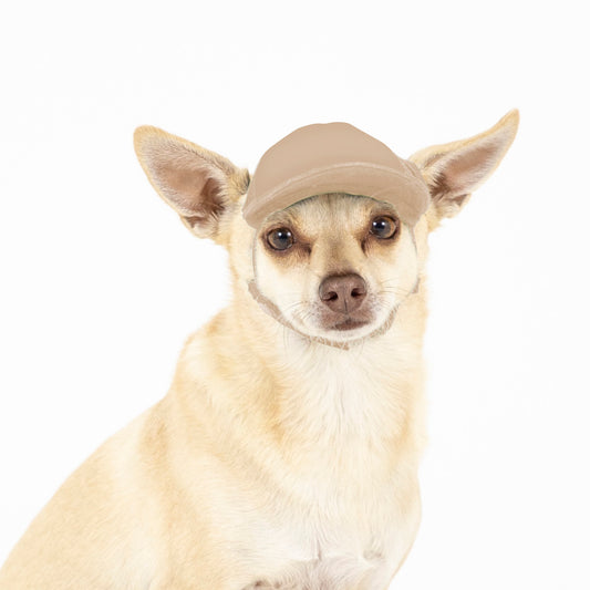 PupLid Cities & States | Solid Colors | Shop Size XS Dog Hat Khaki / Nashville