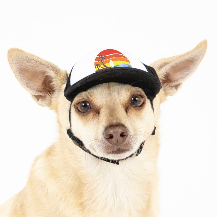 PupLid Sunset Designs | Size XXS Dog Hat