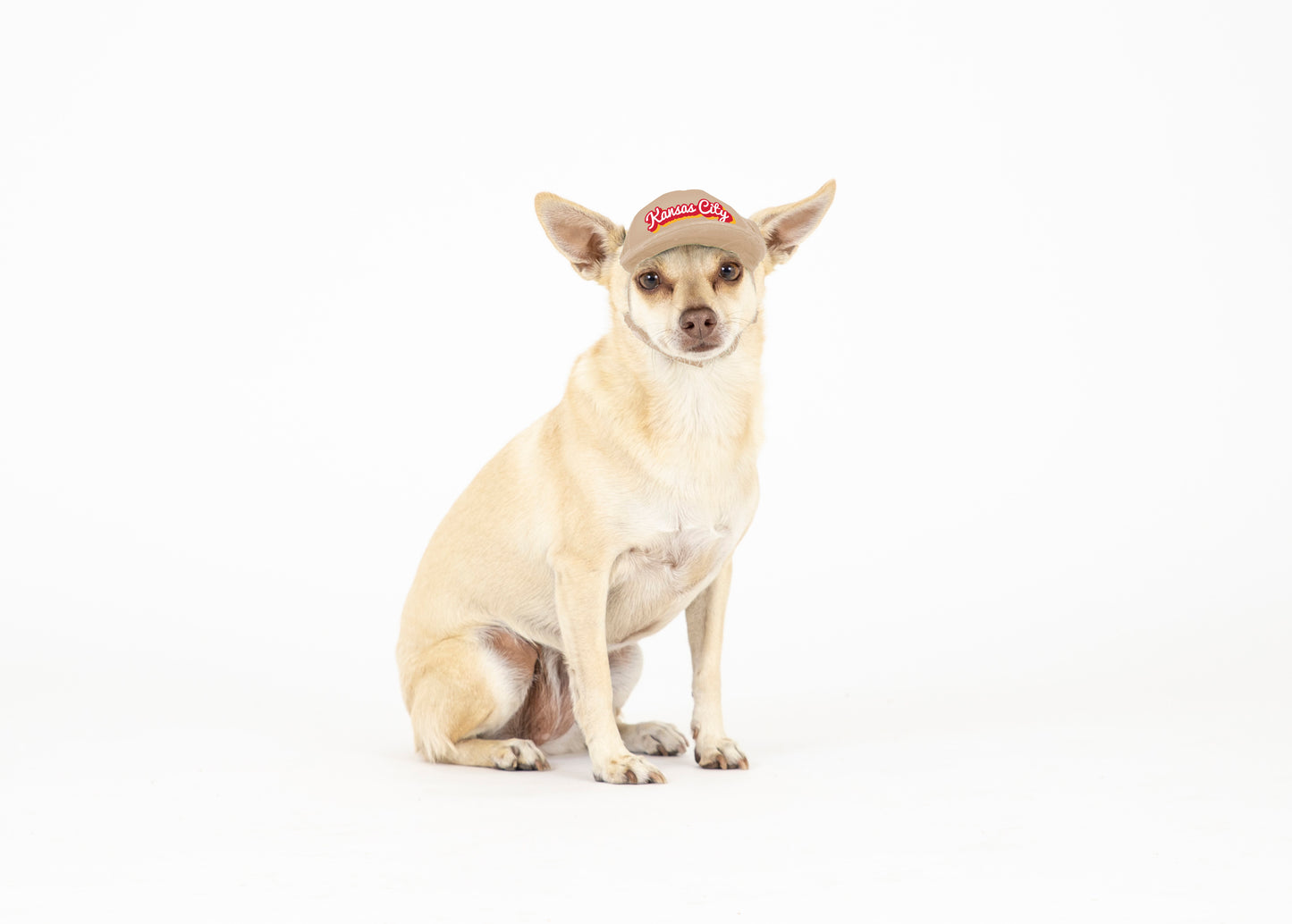 PupLid Cities & States | Solid Colors | Size XXS Dog Hat | Fall Collection