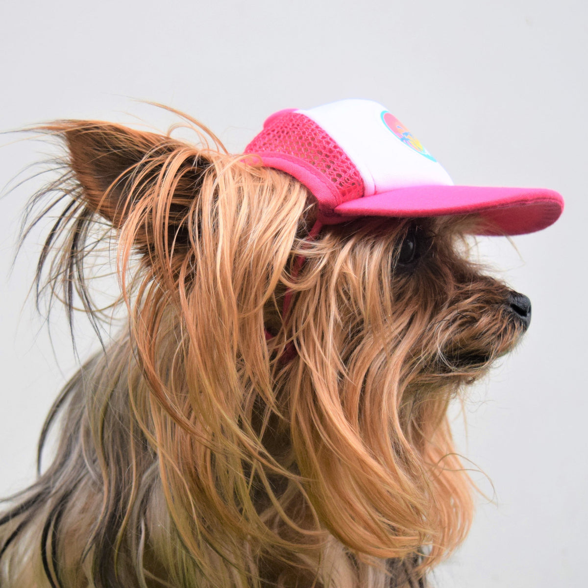 heidi