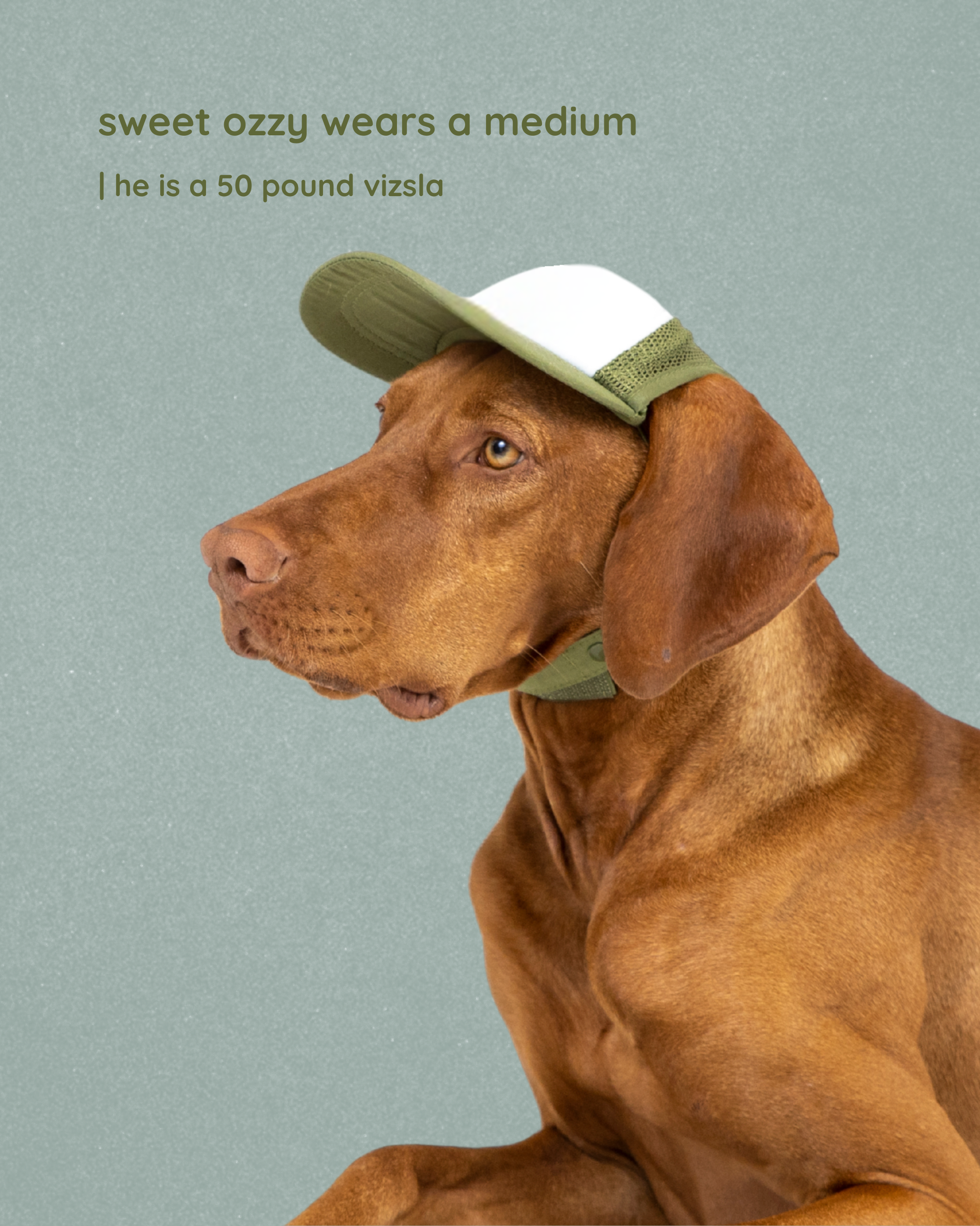 good boy classic text