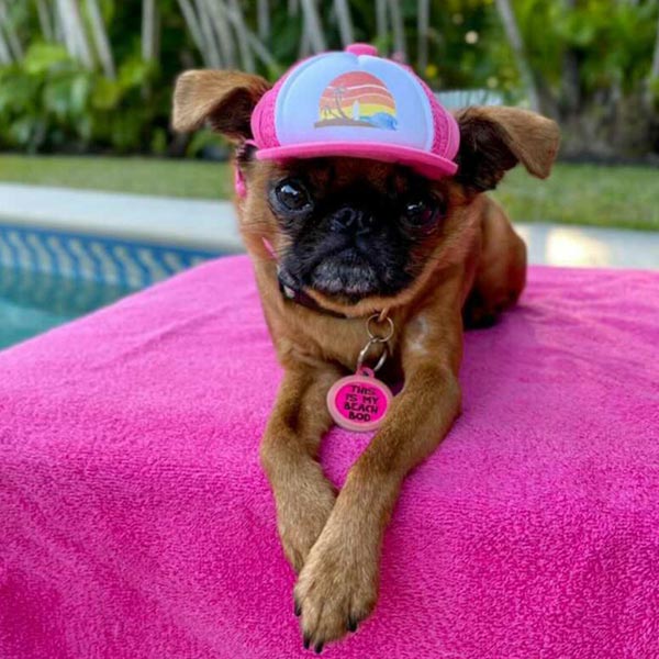 penny
