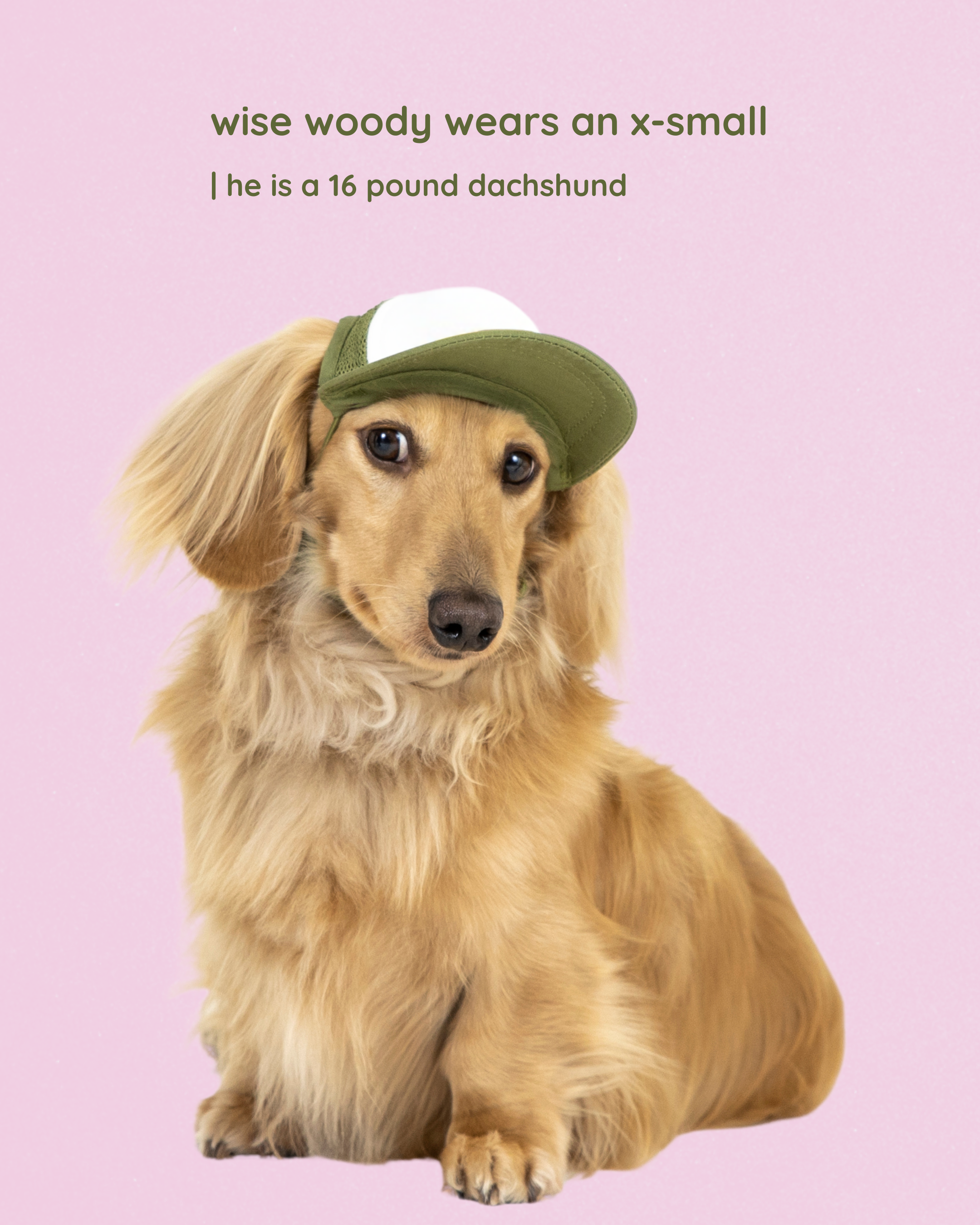 good boy classic text