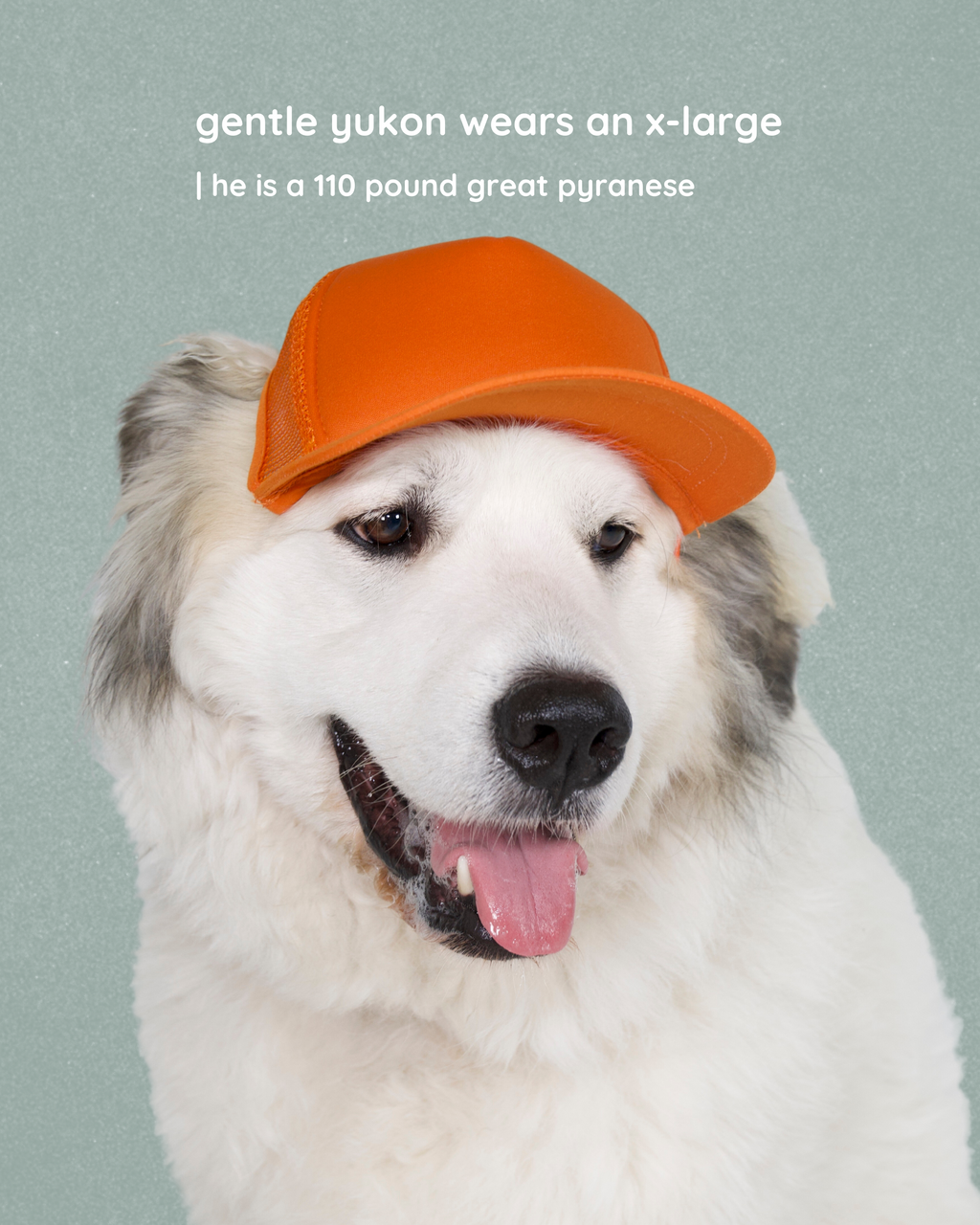 DIY foam trucker hats