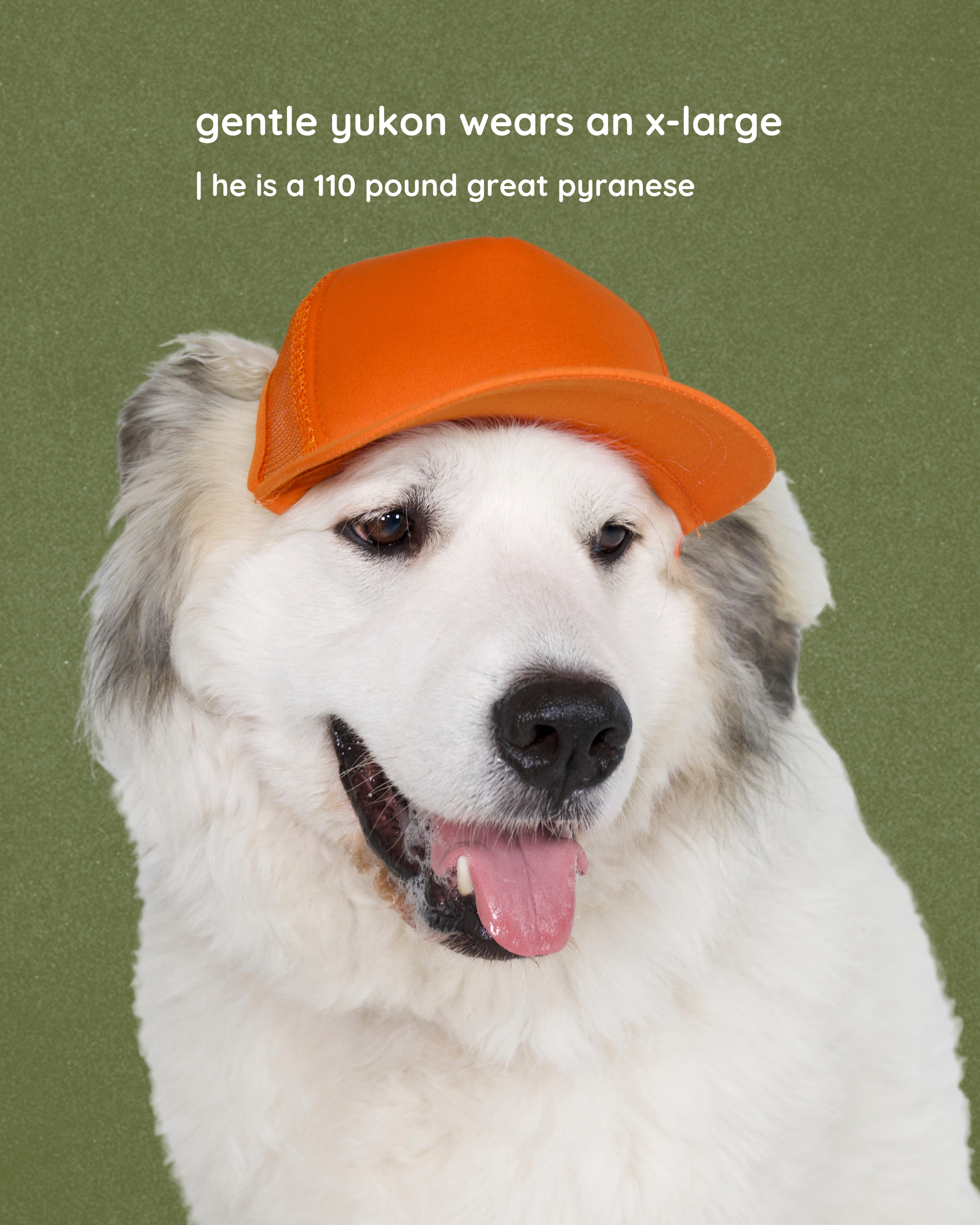 good boy classic text