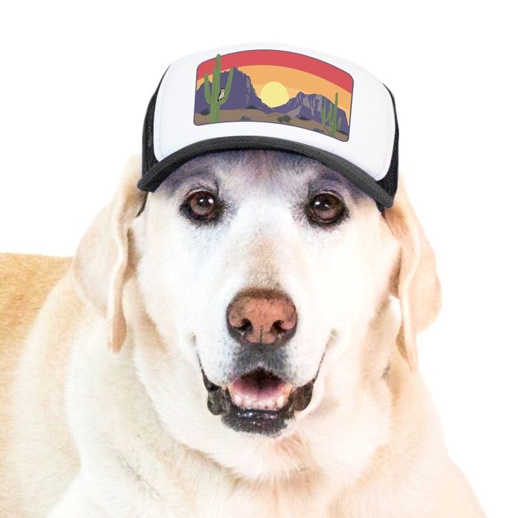 PupLid Landscape Designs | Shop Size XS Trucker Hats for Dogs Black / Ocean Vista Dog Dad