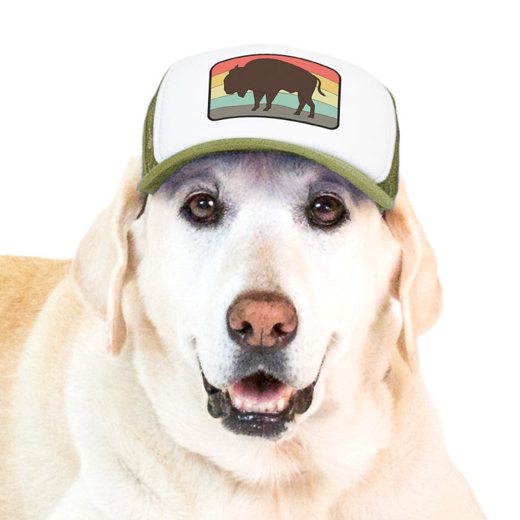 PupLid Nature Designs | Size Large Dog Hat