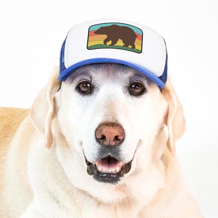 PupLid trucker hat for dogs in blue bear design modeled by a big yellow Labrador