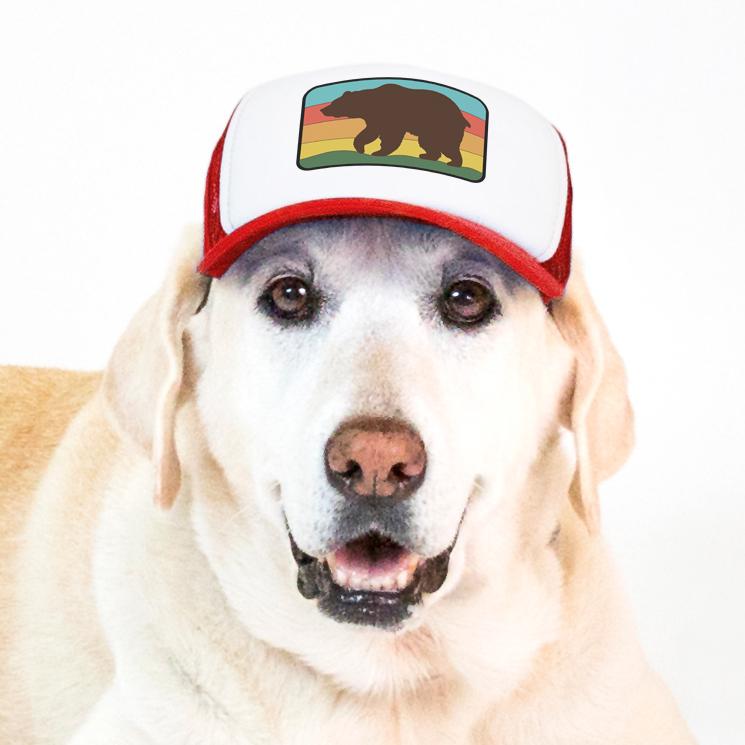 Dog hats for store dogs