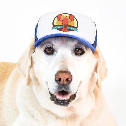 Boston Red Sox MLB dog pet collar (all sizes)