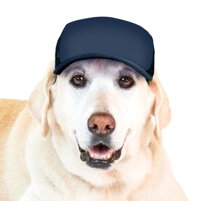 PupLid Solid Colors | Size Large Dog Hat