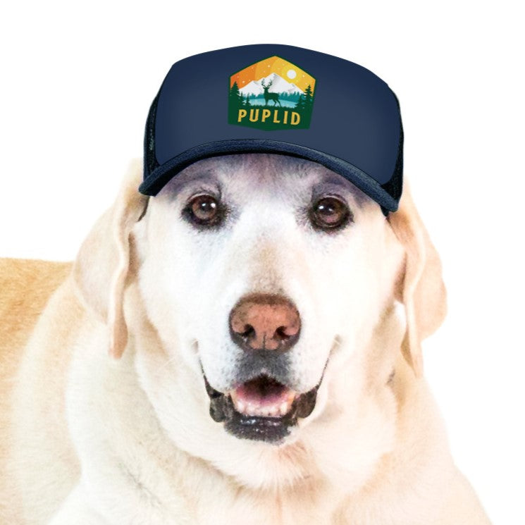 PupLid Winter Designs | Size Large Dog Hat