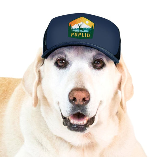 PupLid Winter Designs | Size Large Dog Hat
