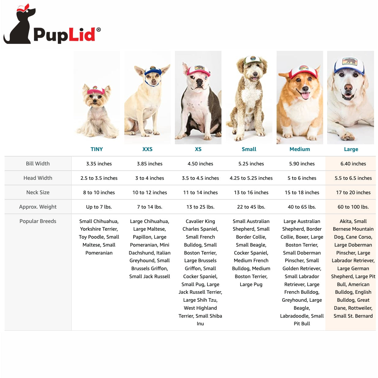 Bull Dog Cartel Plate Snapback – thetopdogpetstore