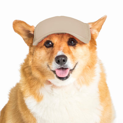 PupLid Solid Colors | Size Medium Dog Hat