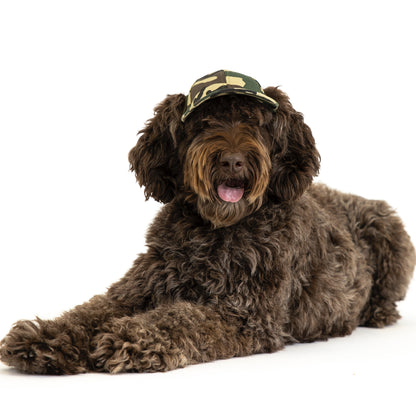 PupLid Camo Design | Shop Size XS Baseball Caps for Dogs Camo Green / Classic Camo