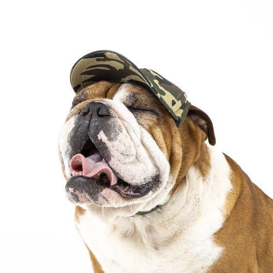 PupLid Camo Design | Shop Size Large Baseball Caps for Dogs Camo Green / Classic Camo