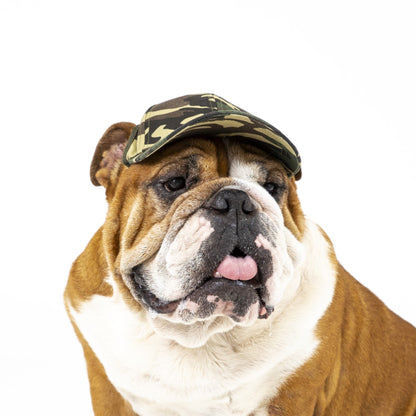 PupLid Baseball Cap | Size Large Dog Cap