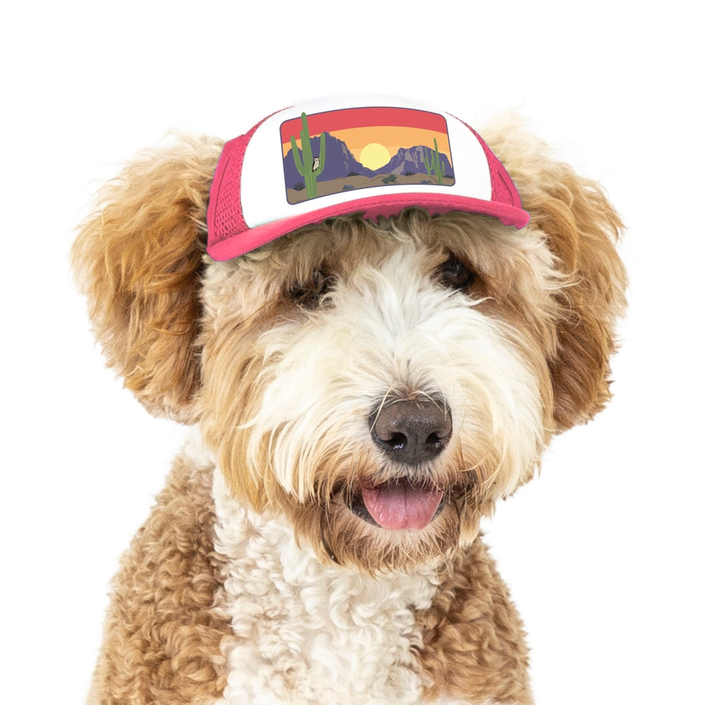 Desert dog clearance hat