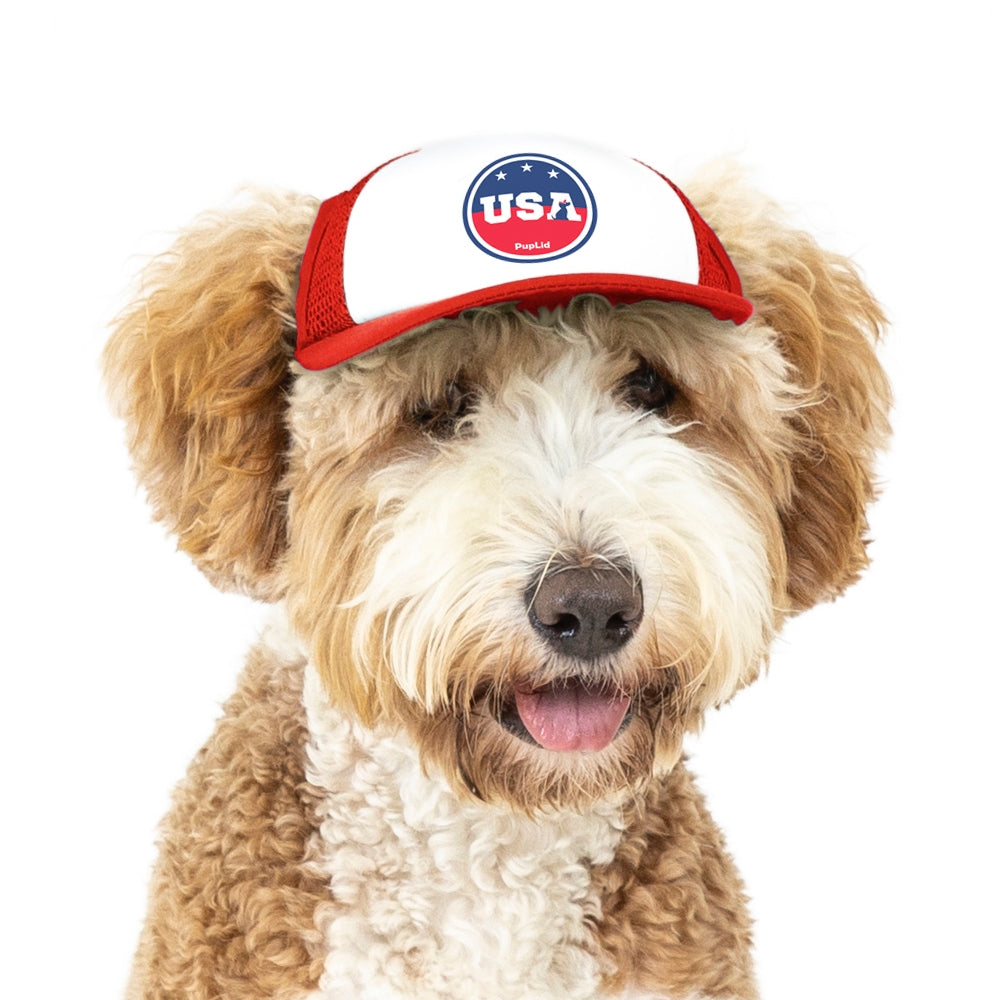 PupLid USA Designs | Size Small Dog Hat