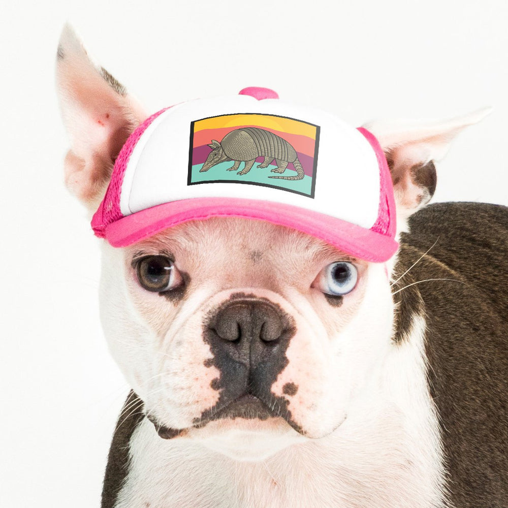 Puppy hats discount