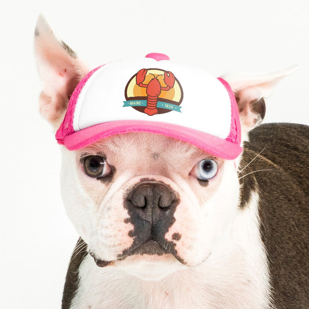 PupLid Nature Designs | Size XS Dog Hat