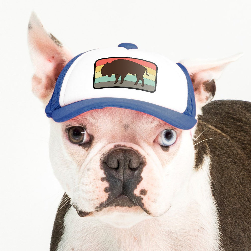 PupLid Nature Designs | Size XS Dog Hat