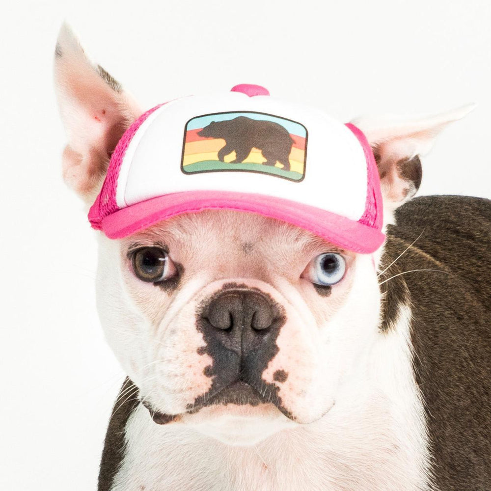 Pink 2025 dog hat