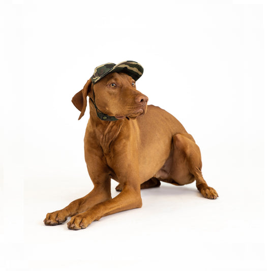 PupLid Baseball Cap | Size Small Dog Cap