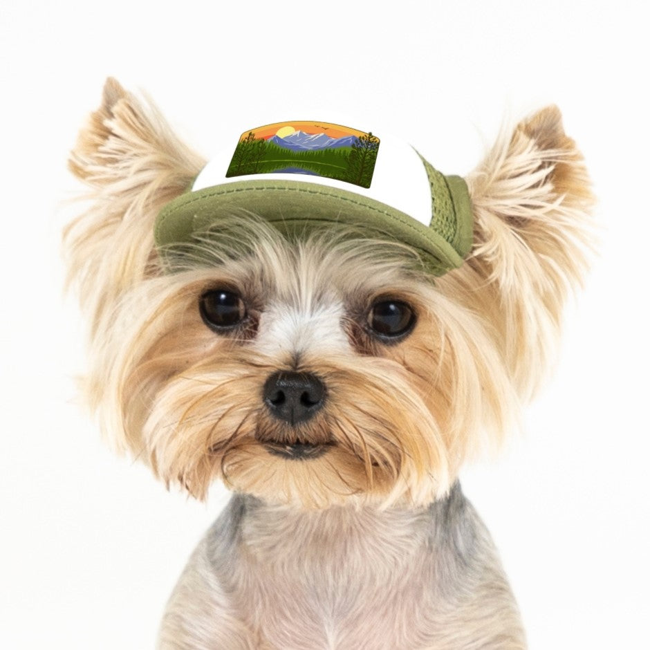 Dog hats 2024 for small dogs